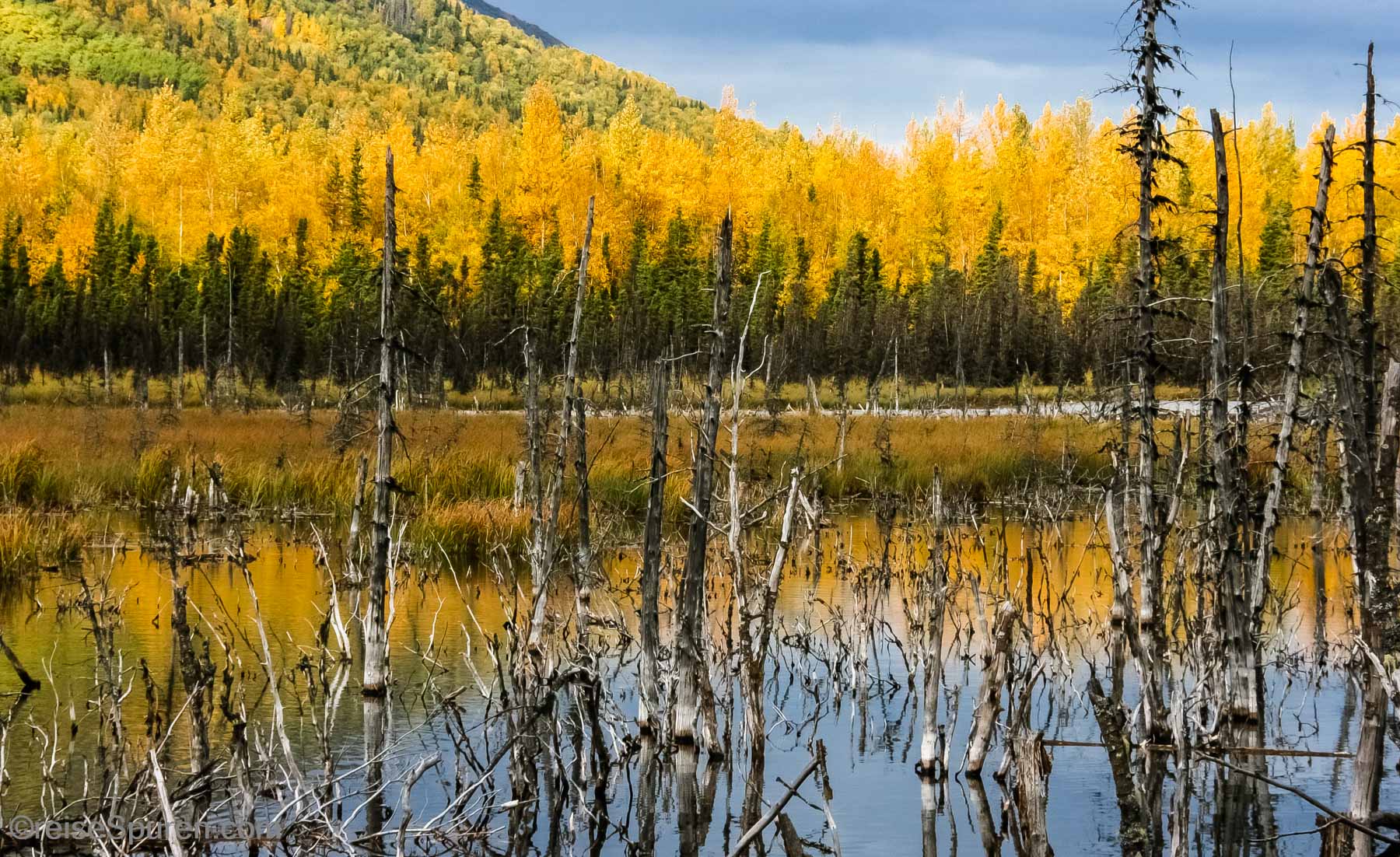 Chugach State Park