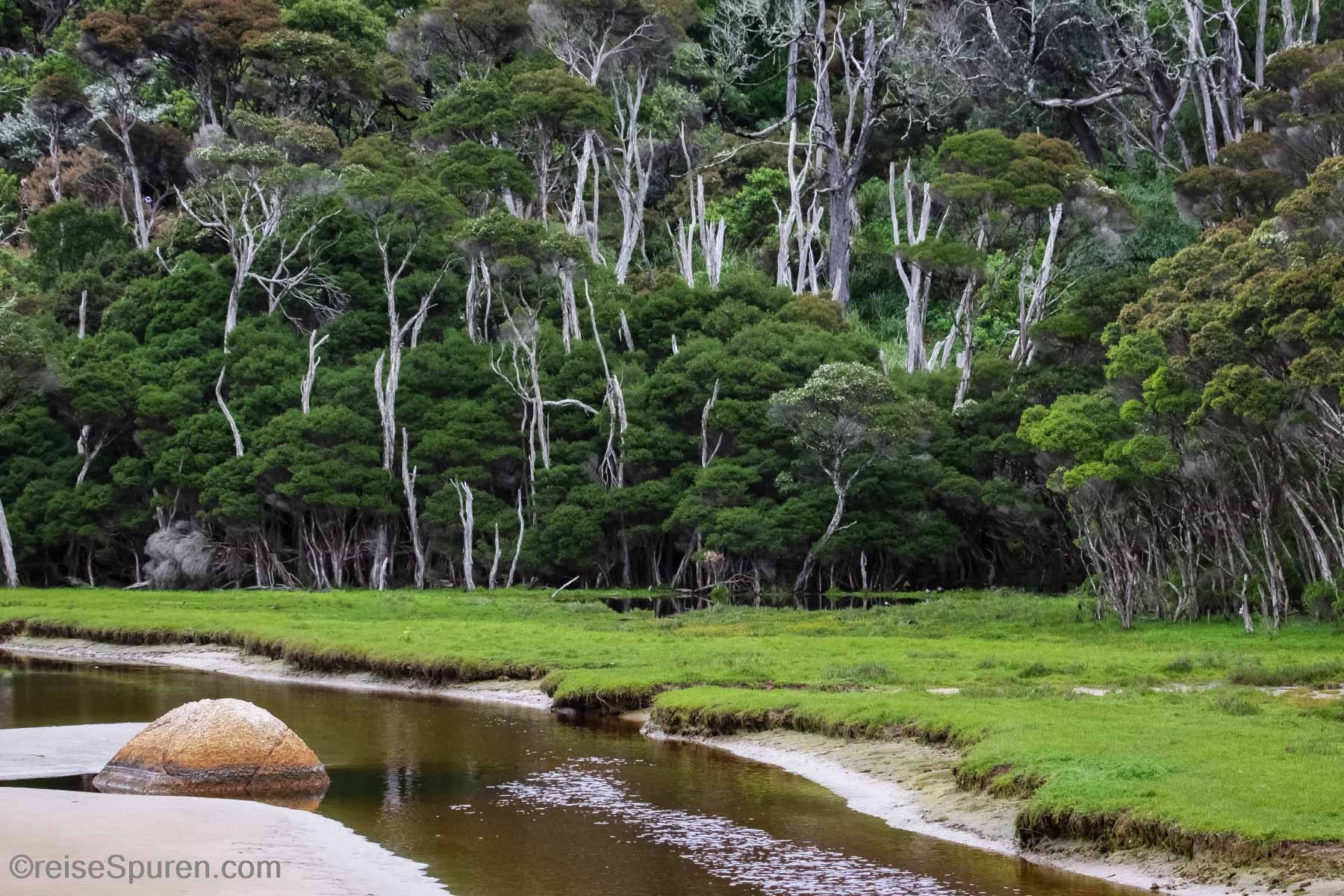 Wilsons Promontory NP
