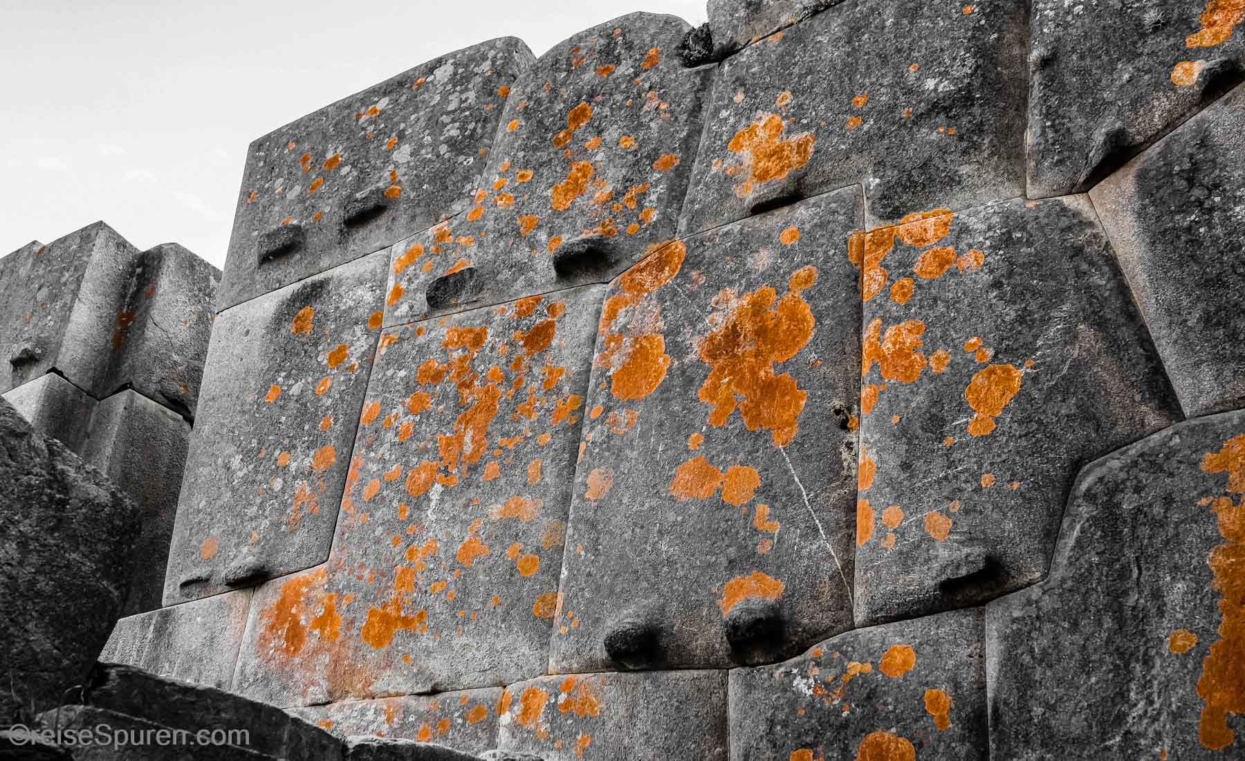 Araqama Ayllu