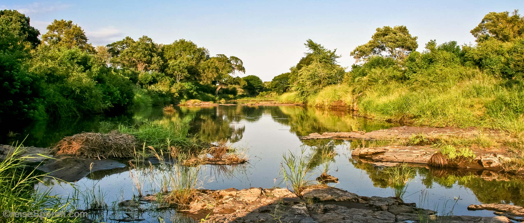 Krüger NP