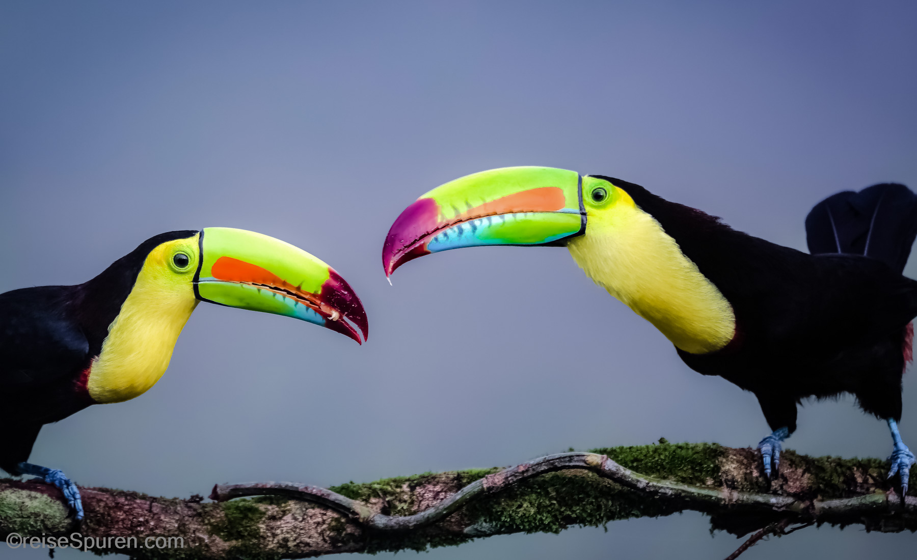 Costa Rica